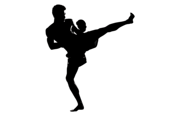 Dynamic Muay Thai fighter executing a powerful roundhouse kick in silhouette, showcasing strength and agility in a striking martial arts pose