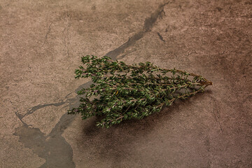 Fresh green Thyme branch isolated