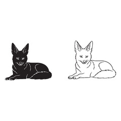 Stylized Jackal Silhouette & Jackal Lineart – Jackal Vector Drawing with Balanced Line Structure – Jackal Illustration – Silhouette and Lineart Set of Jackal