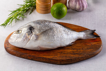 Raw fresh uncooked dorada fish