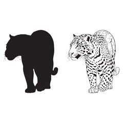 Elegant Jaguar Silhouette & Jaguar Lineart – Jaguar Vector Style Featuring Powerful Animal Frame – Black Vector of Jaguar – Vector Set of Jaguar