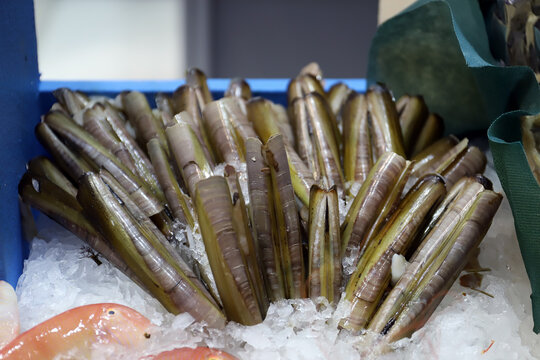 navajas de mar sobre hielo en la pescader&iacute;a del mercado
