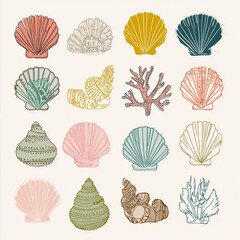 sea shells collection