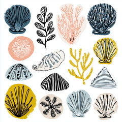 sea shells collection