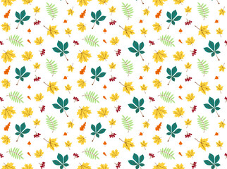 Autumn pattern on transparent background. Isolated autumn pattern Hand drawn foliage pattern. Isolated autumn foliage print.