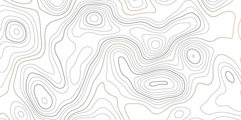 Topographic map pattern background vector. Abstract mountain terrain map background with abstract shape line texture. packaging , web, geographic grid map vector illustration.