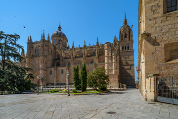 Obraz premium Salamanca new cathedral exterior lateral facade during a summer day on a sunny day