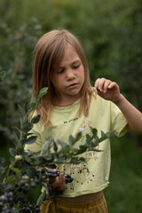 a child in a yellow T-shirt gestures to show a small berry growing on a bush