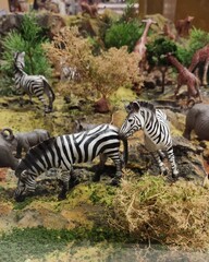 Naklejka premium zebra eating grass