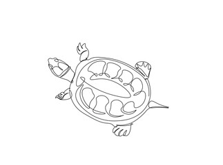 Turtoise in single outline illustration. Continuous line art drawing of big turtle. Editable stroke.