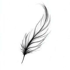 Obraz premium A detailed illustration of a feather, showcasing intricate lines and delicate structure against a plain white background.