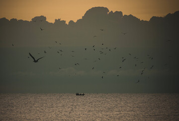 Birds (silhouettes) flying over the sea. Boat with fishermen and a dramatic sky.