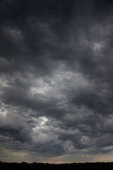 Clouds over the forest in summer