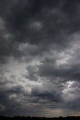 Clouds over the forest in summer