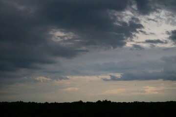 Clouds over the forest in summer