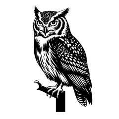 owl sitting on a branch