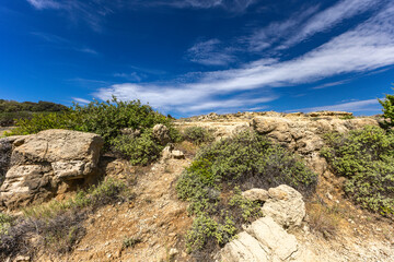 Wild vegetation growing on the rocks on the island of Rab, sand dunes, quicksand,