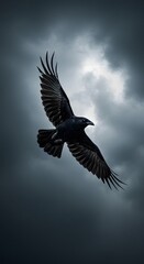 Fototapeta premium Storm Crow Flight: Moody Sky Wallpaper