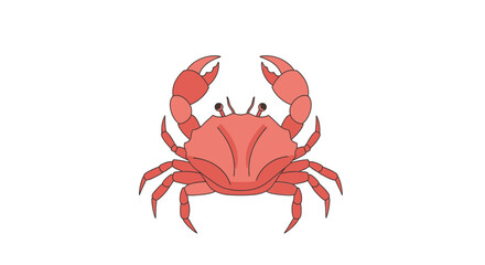 A detailed illustration of a red crab with its claws raised high in a defensive posture on a white background