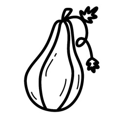 Squash Outline Icon