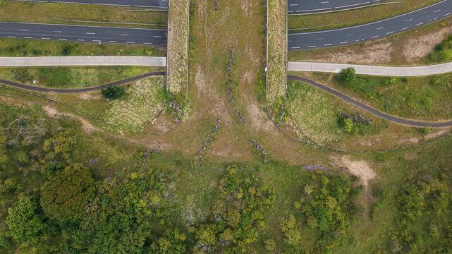 Drone Shot Reveals Ecoduct Over Dutch Motorway, Eco Bridge Connecting Wildlife Habitats
