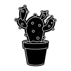 cactus in pot