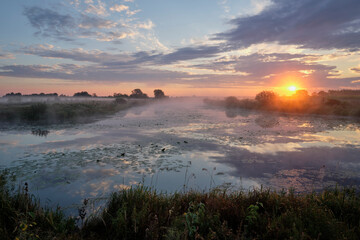 Obraz premium Misty dawn over the lake.