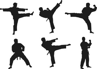 Silhouettes of Martial Artists Practicing Karate Kicks and Combat Poses in Traditional Uniform for Self Defense and Sports Training Vector