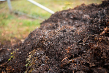 soil Compost pile, organic thermophilic compost turning in Tasmania Australia