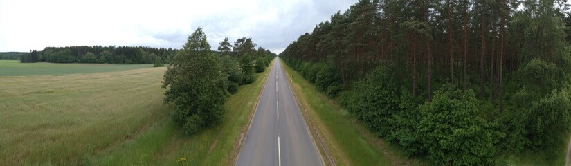 Fototapeta premium A rural road winds through a landscape of fields and forests, showcasing a tranquil summer scene.