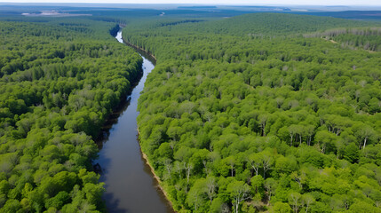Dense Forest And River In Mousetail Landing State Park, Linden, Tennessee, USA - aerial drone shot