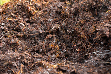 soil Compost pile, organic thermophilic compost turning in Tasmania Australia