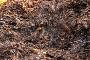 soil Compost pile, organic thermophilic compost turning in Tasmania Australia