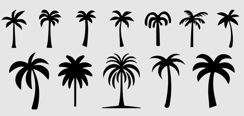 set of palm trees