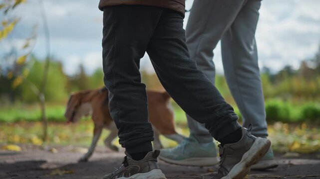 low angle side view of mother walking with child while conversing through colourful autumn meadow under cloudy sky wearing warm jackets beanie scarf backpack dog tail visible on path