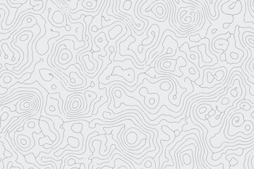 Abstract White Topographic Map Pattern