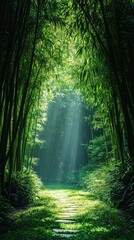 Fototapeta premium Serene Bamboo Forest Pathway with Sunlight Rays Streaming Through Tall Green Stalks in a Tranquil Nature Scene