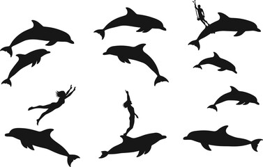 Fototapeta premium Vector illustration of dolphins jumping and swimming with humans performing tricks, aquatic animals, marine life, ocean show, and water sports.