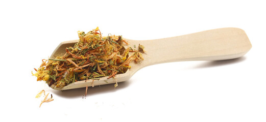 Dried Saint John's wort flowers in wooden spoon (Hypericum perforatum) isolated on white...
