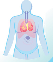 Holographic human organ cross section vector illustration scalable eps icon medical anatomy