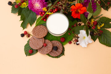 Artistic still life of cookies with blackberries and raspberries, cup of milk with yellow flower on top, and floral decor.