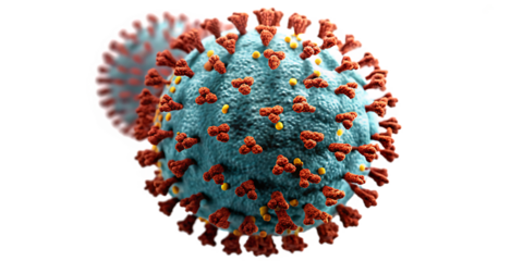 Detailed 3 D Coronavirus Particle with Spikes isolated on a transparent background