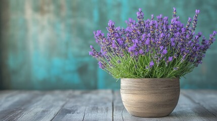 High-resolution image of colorful flowers blooming