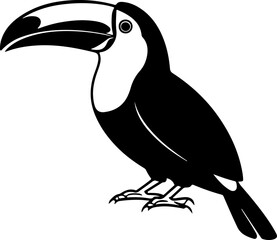 Elegant Toucan silhouette vector illustration