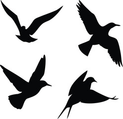set of birds