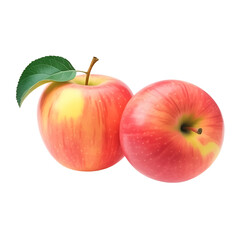 A cropped close-up of two fresh red and yellow apples with a single green leaf and stem.