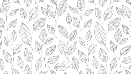 Fototapeta premium Delicate leaf pattern with grey outlines leaves branches