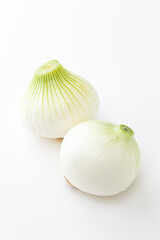 新玉ねぎ　白バック