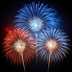 Obraz premium Colorful fireworks exploding in the night sky celebration