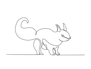 Squirrel animal in single line draw illustration. Continuous one line drawing of squirrel or chipmunk. Editable stroke.